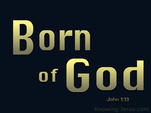 John 1:13